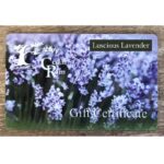 Luscious Lavender $0.00