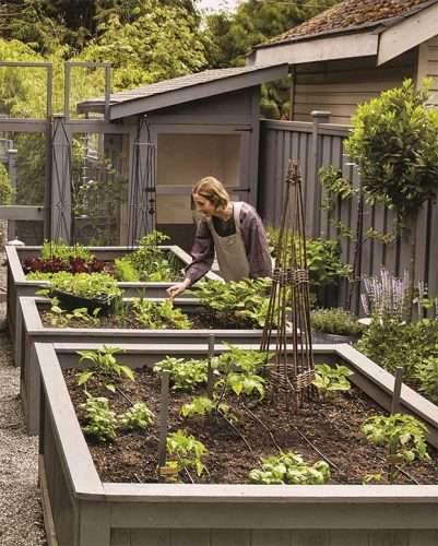 cedar rim nursery the side gardener 03