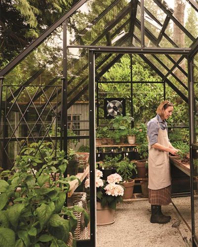 cedar rim nursery the side gardener 12