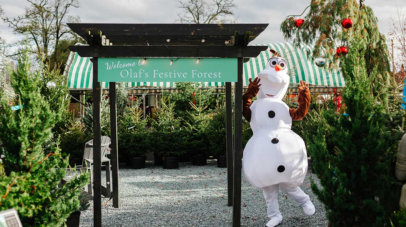 Winter Open House | Cedar Rim Nursery