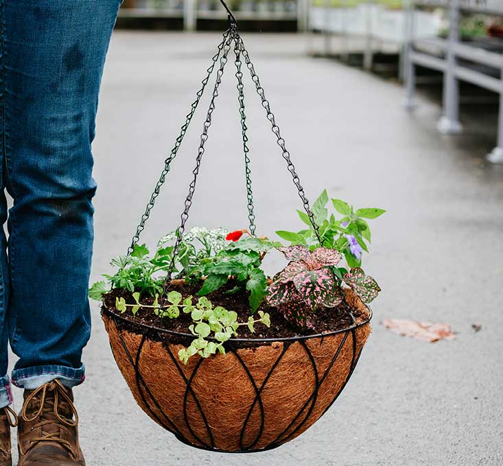 Mastering the Art of Hanging Basket Design – Reservation