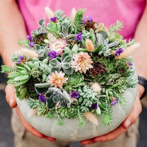 cedar rim nursery adult workshops succulent planters