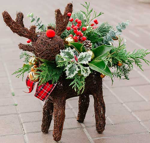 Cedar Rim Adult Workshop: Santa's Reindeer Winter Planter | Cedar Rim Nursery