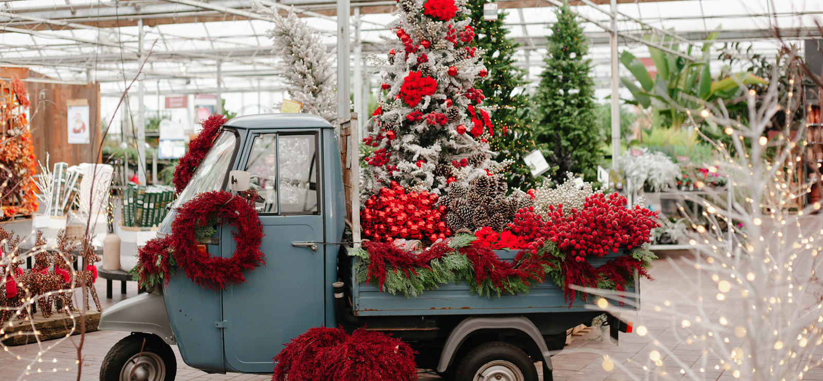 cedar rim nursery front 9