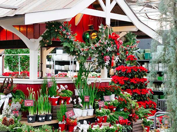 cedar rim nursery gift guide