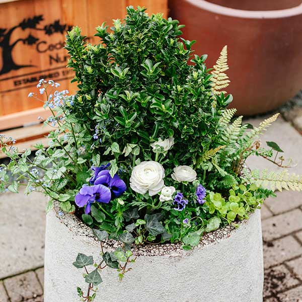 Early Spring Container Design Demo – Reservation