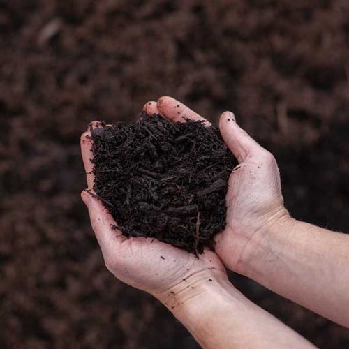 Cedar Rim Bulk Soils | Cedar Rim Nursery