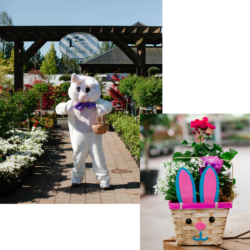 Easter Eggstravaganza – Reservation