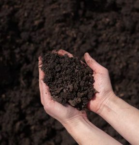 cedar rim nursery bulk soil premium garden blend