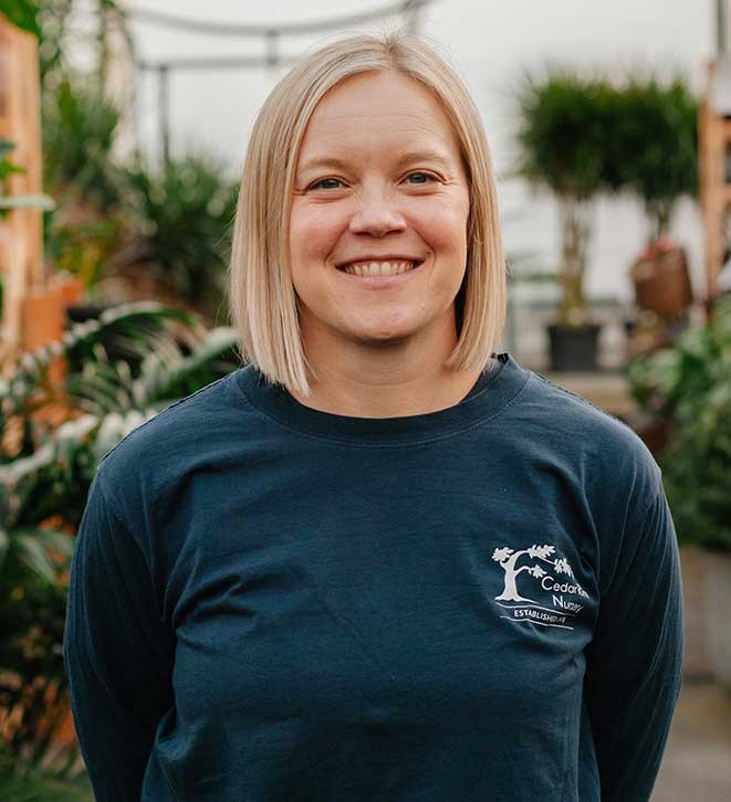 cedar rim nursery wholesale amanda