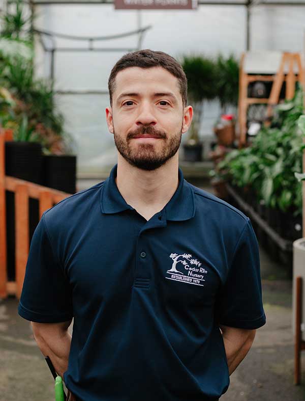 cedar rim nursery wholesale pedro