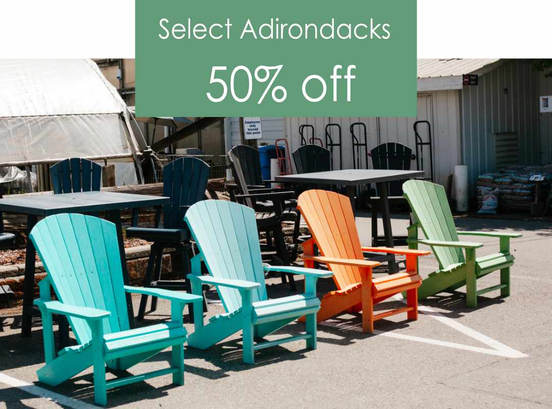 Weekly Specials | Cedar Rim Nursery