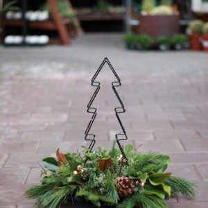 cedar rim nursery workshops evergreen glow centrepiece
