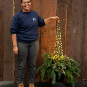 cedar rim nursery workshops grand evergreen urn planter