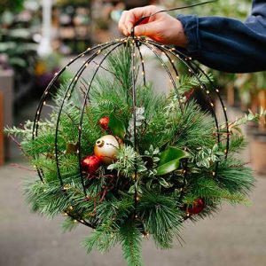 cedar rim nursery workshops twinkle and evergreen